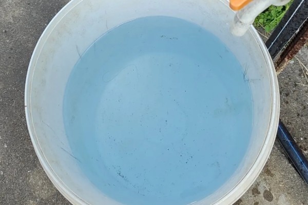 乌龟几天换一次水，一般三天换一次水