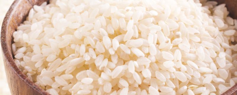 粳米是什么米，粳米即粳稻的种仁