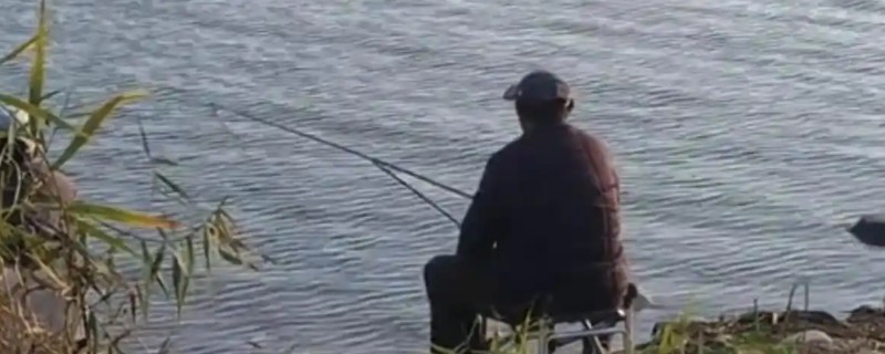 春季水库钓鲫鱼用什么饵料，可选择糠饼、菜籽饼等