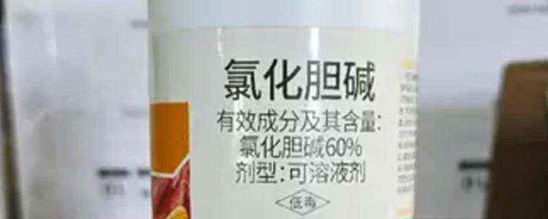 氯化胆碱有哪些控旺作用，可以抑制作物的茎秆的生长