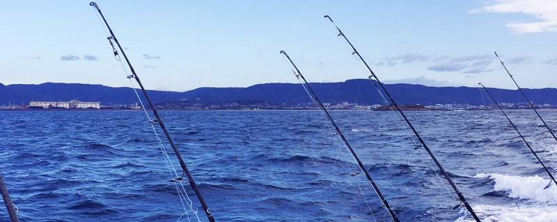 海钓怎样正确的抛竿，可采取上投式、斜投式等