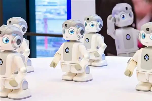 农村的偏门点子，推荐家庭监控器、智能机器人等