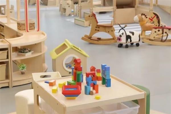 农村的偏门点子，推荐家庭监控器、智能机器人等