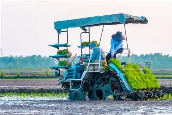 农村的偏门点子，推荐家庭监控器、智能机器人等