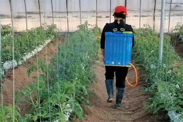 唑醚代森联的使用方法,一般以兑水喷雾为主