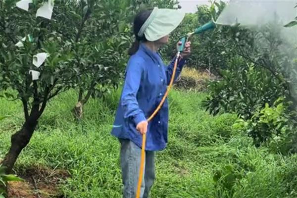 唑醚代森联的使用方法,一般以兑水喷雾为主