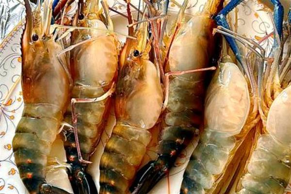 罗氏虾和基围虾的区别，科属和外形均不同