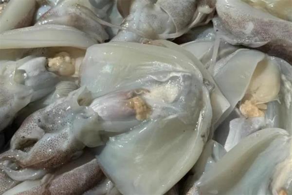 墨鱼的食用方法,洗净后入锅放调料并煮半小时