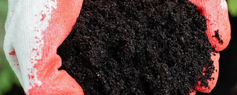 什么是腐植酸有机肥，是指含有大量腐植酸的肥料