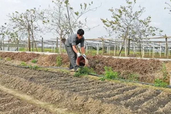 降低蔬菜肥料污染的方法，可重施有机肥