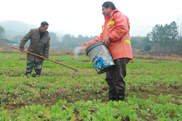 降低蔬菜肥料污染的方法，可重施有机肥