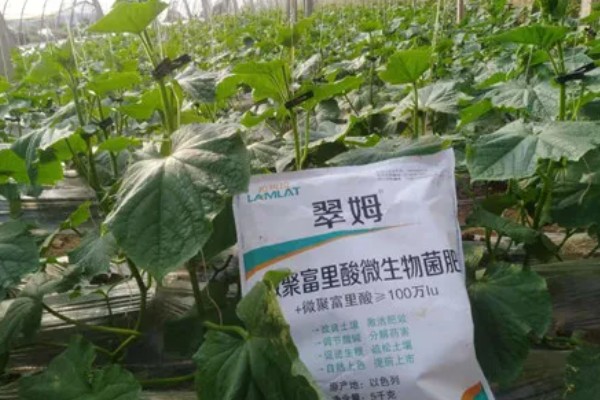 降低蔬菜肥料污染的方法，可重施有机肥