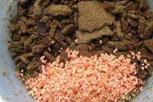 春季水库钓鲫鱼用什么饵料，可选择糠饼、菜籽饼等