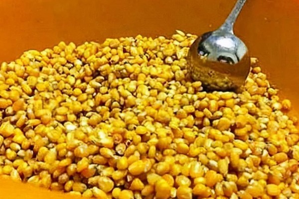 春季水库钓鲫鱼用什么饵料，可选择糠饼、菜籽饼等