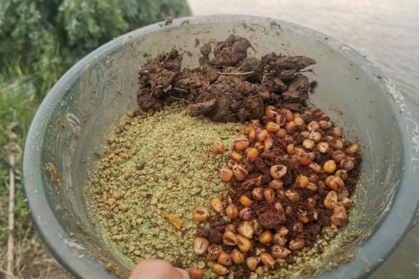 春季水库钓鲫鱼用什么饵料，可选择糠饼、菜籽饼等