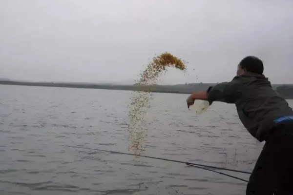 春季水库钓鲫鱼用什么饵料，可选择糠饼、菜籽饼等