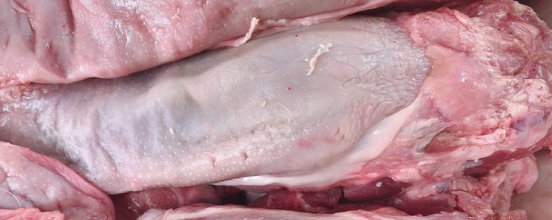 清洗猪舌头的方法，先用开水煮再搓洗汆烫、刮除白色粘膜