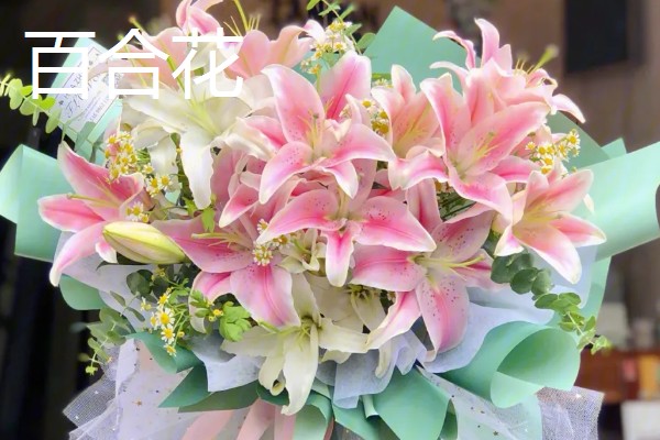 乔迁之喜可赠送什么鲜花,百合花、向日葵等品种比较合适