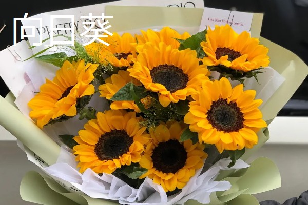 乔迁之喜可赠送什么鲜花,百合花、向日葵等品种比较合适