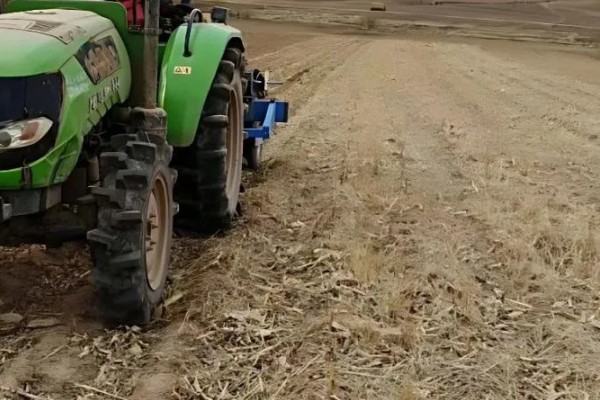 玉米螟的防治方法,心叶末期用杀螟灵防治