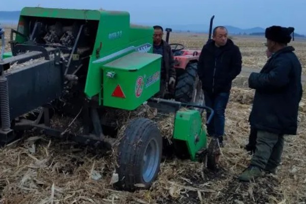 玉米螟的防治方法,心叶末期用杀螟灵防治