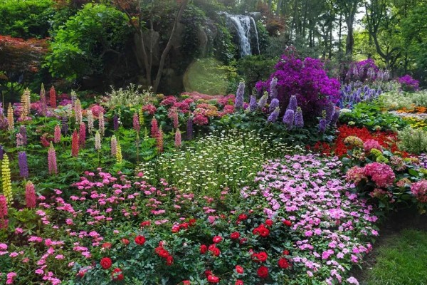 花圃和花卉的区别是什么，花圃是培育花卉的场地