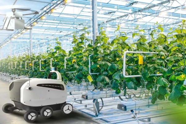 智能农业的指导者是什么,是当地农技管理人员及政府