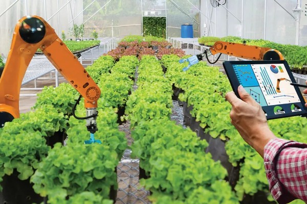 智能农业的指导者是什么,是当地农技管理人员及政府