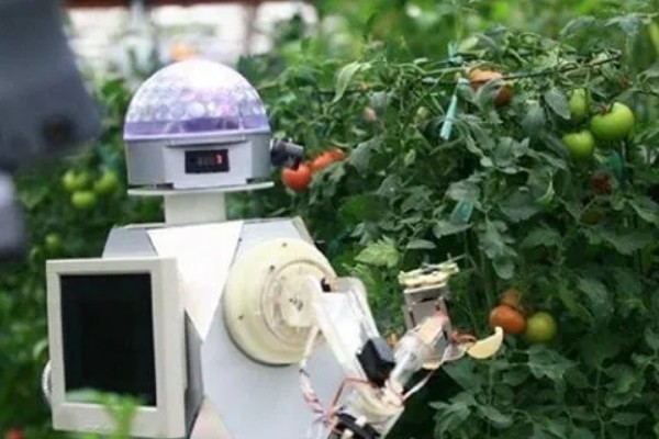 智能农业的指导者是什么,是当地农技管理人员及政府