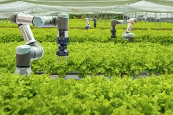 智能农业的指导者是什么,是当地农技管理人员及政府