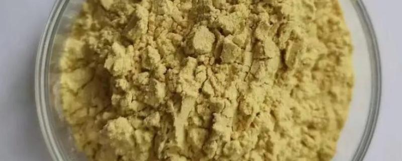 松花粉的简介，属于松科植物的花粉粒