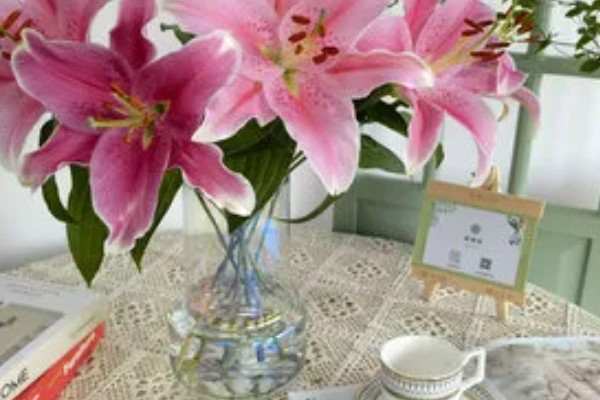 香水百合怎么水养，插水前要先对其进行修剪