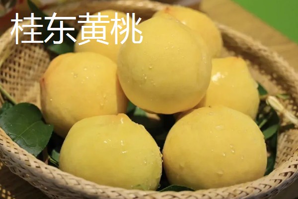 黄桃里面有虫的原因，大多是果蝇