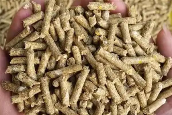 动物性鲜活饲料有哪些,包含小鱼、小虾、蚌、田螺等