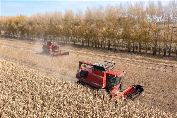 农机把持中的三个留心,首先要用运动扳手拧紧缸盖螺丝