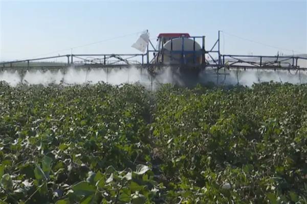 杀虫单的禁用作物,对蚕和蜜蜂具有毒性