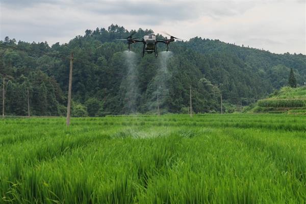 杀虫单的禁用作物,对蚕和蜜蜂具有毒性