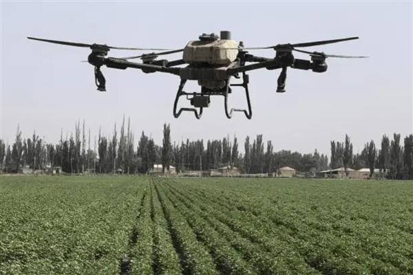 杀虫单的禁用作物,对蚕和蜜蜂具有毒性