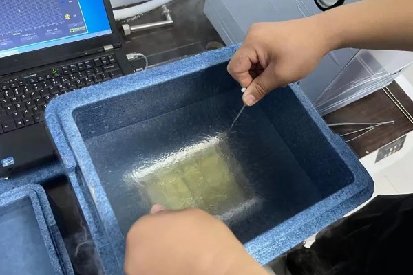猪精如何稀释，根据浓度和质量进行稀释