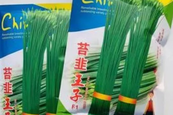 韭菜种子如何选购，选择正规厂家质量达标的种子