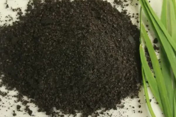 韭菜种子如何选购，选择正规厂家质量达标的种子