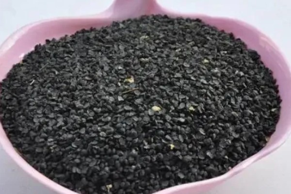 韭菜种子如何选购，选择正规厂家质量达标的种子