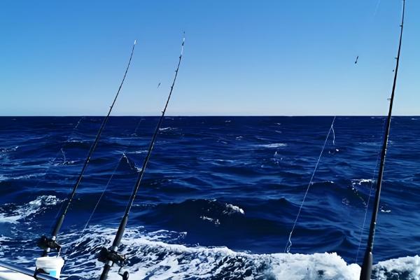 海钓怎样正确的抛竿，可采取上投式、斜投式等