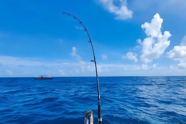 海钓怎样正确的抛竿，可采取上投式、斜投式等