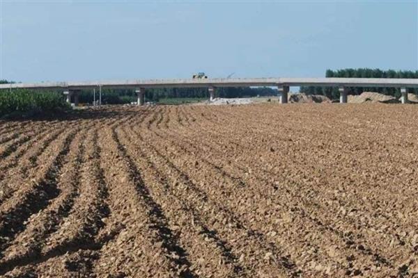 地瓜的种植方法，播种前用温水浸种