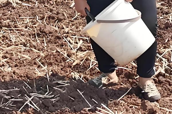 复合肥料的使用方法，可用作基肥、追肥和种肥