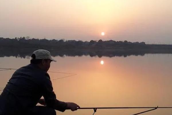 用蚯蚓钓鲫鱼的打窝方法,窝料选择酒米、麝香米等