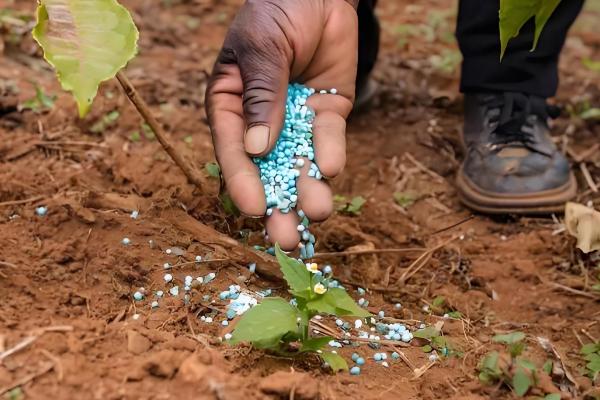 复合肥料的使用方法，可用作基肥、追肥和种肥