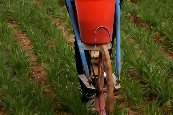 复合肥料的使用方法，可用作基肥、追肥和种肥