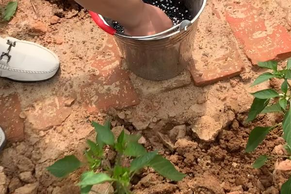 复合肥料的使用方法，可用作基肥、追肥和种肥